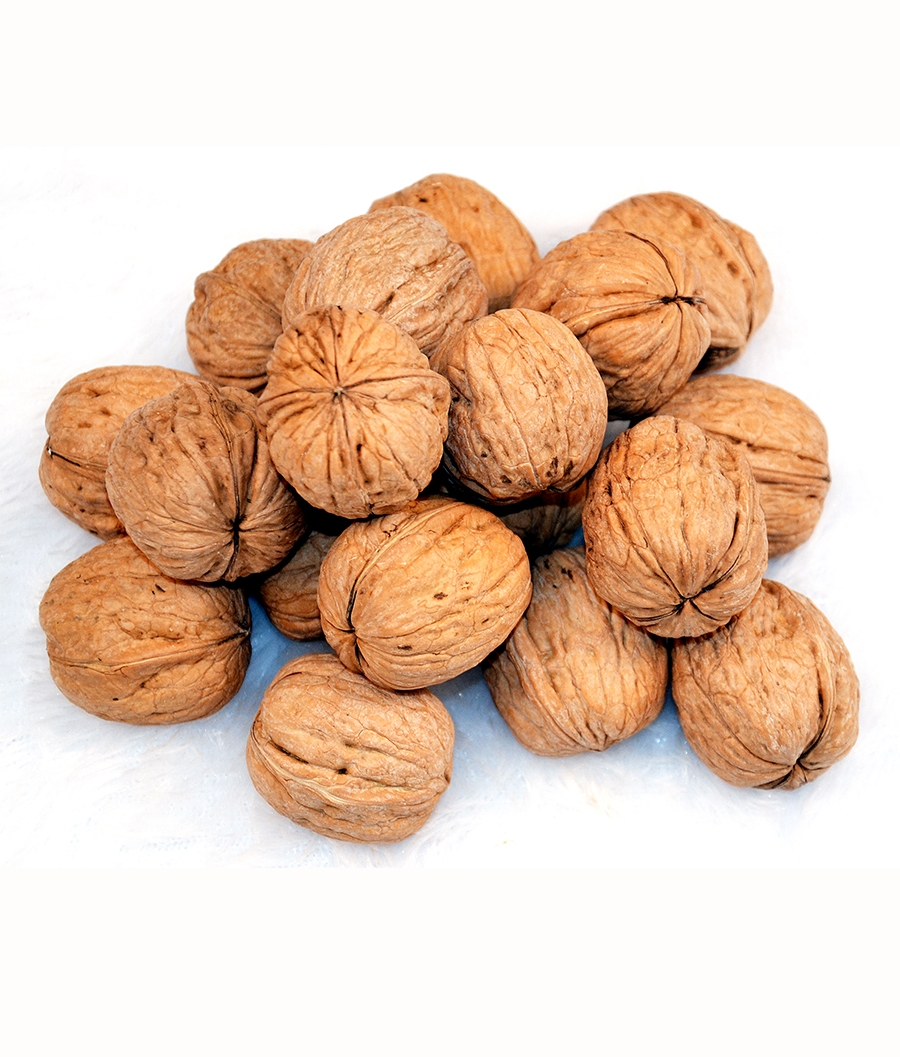 Natural and Pure Inshell Walnuts
