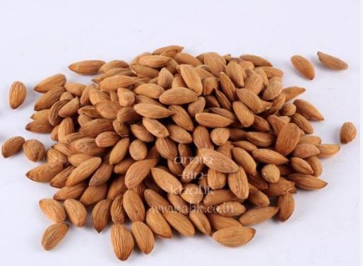 Almond(Badam)